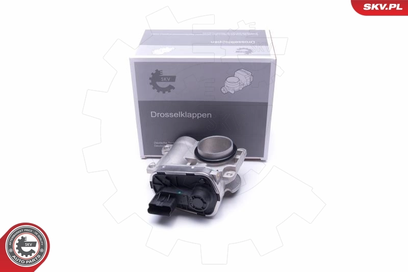 Throttle Body